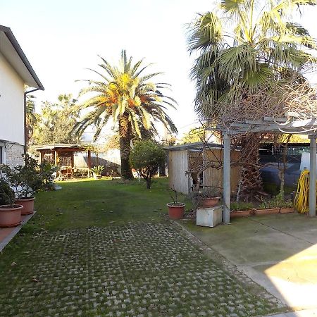 אפרטהוטל מרינה די מסה Casa Nuccia Gentili David מראה חיצוני תמונה
